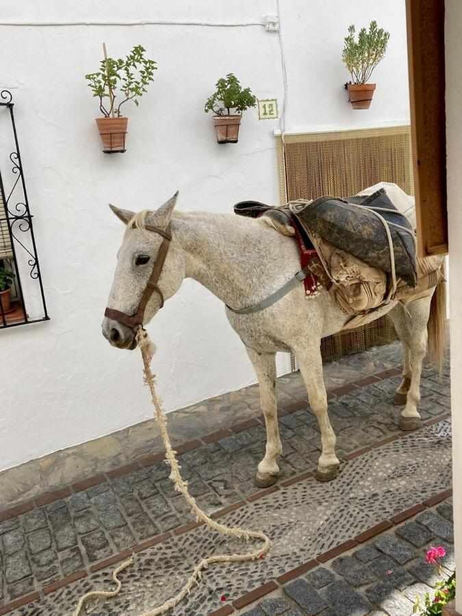 Casa Rural Villa Sila Benalauria ภายนอก รูปภาพ